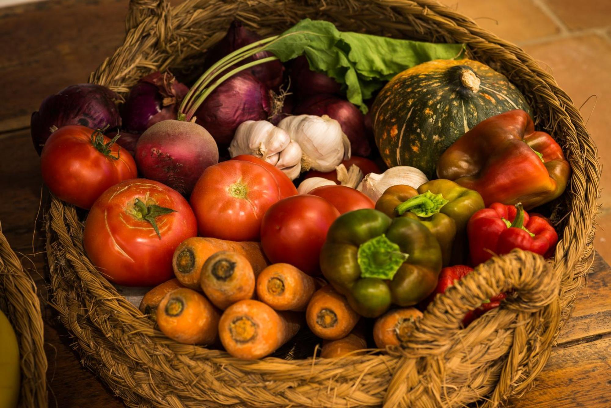 Altanure Almatere - Food Forest Boutique Stay Tavira Luaran gambar