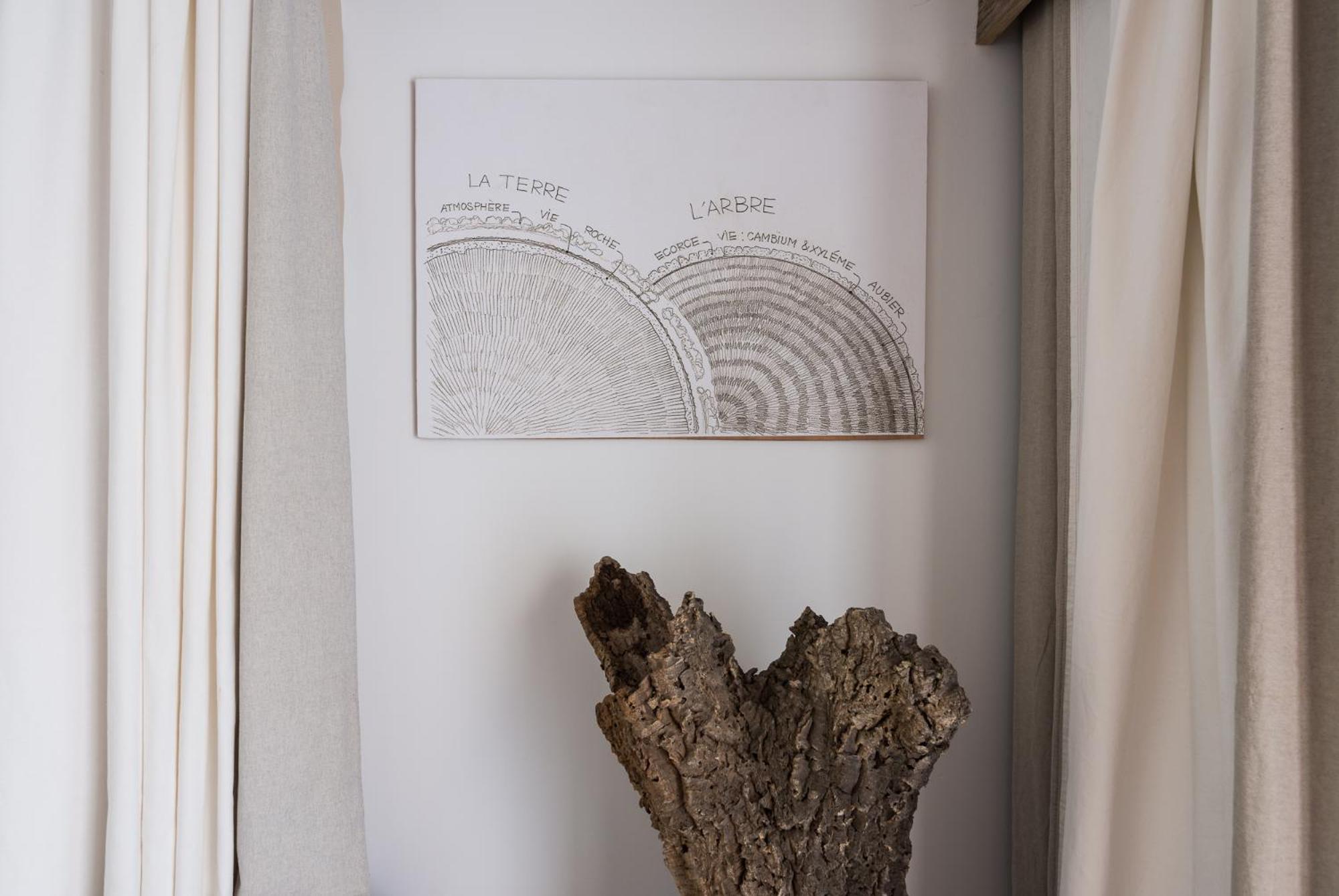 Altanure Almatere - Food Forest Boutique Stay Tavira Luaran gambar
